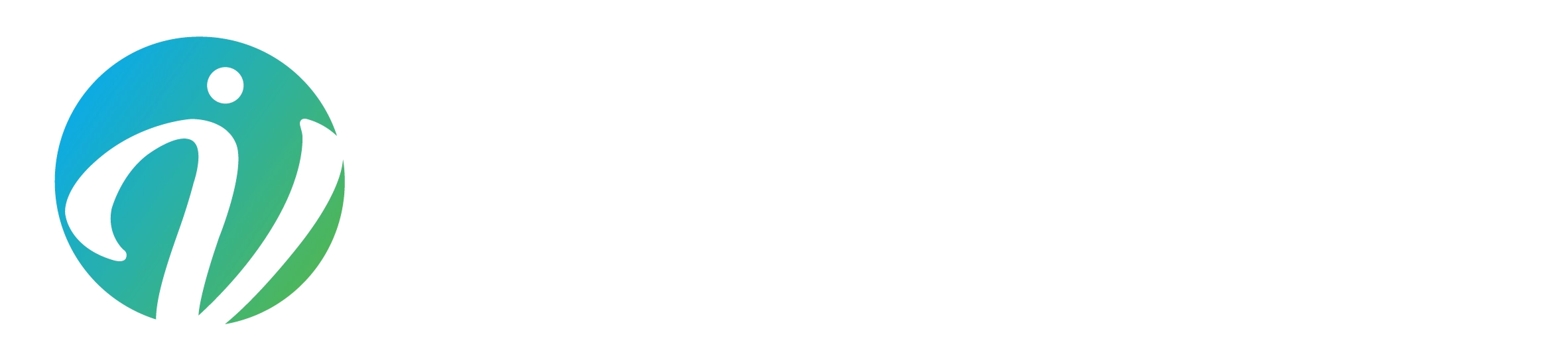 Integrated Vision